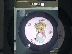 de module480*480 punten van 2,1 duim ronde tft, 40 SPELDEN18bit RGB interface, 250cd/m2