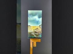 6 inch 1080*2160 Resolutie lcd tft module MIPI Interface Driving IC HX8399C