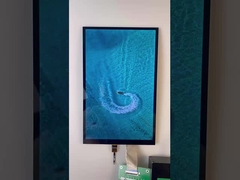 10.1 inch TFT-staaftype Display 1200*1920 Resolutie MIPI-interface 1000cd/M2