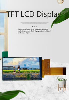 2,19 inch IPS TFT kleurendisplay met 480*800 resolutie en MIPI-interface
